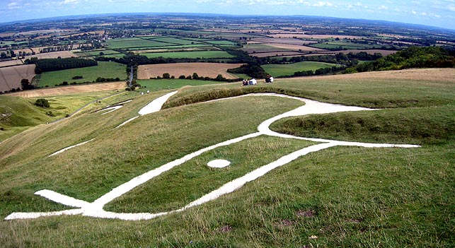 white_horse_photo